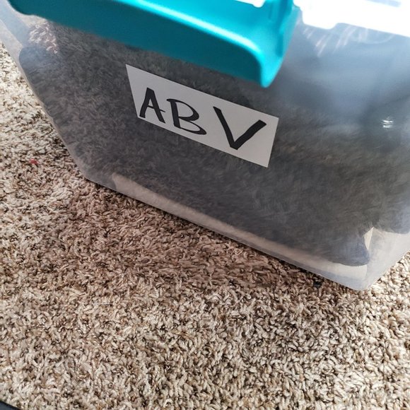 Nike Pro Womens Size S Colorblock Athletic Tights Black And Gray Stripe And Mesh - Picture 7 of 10